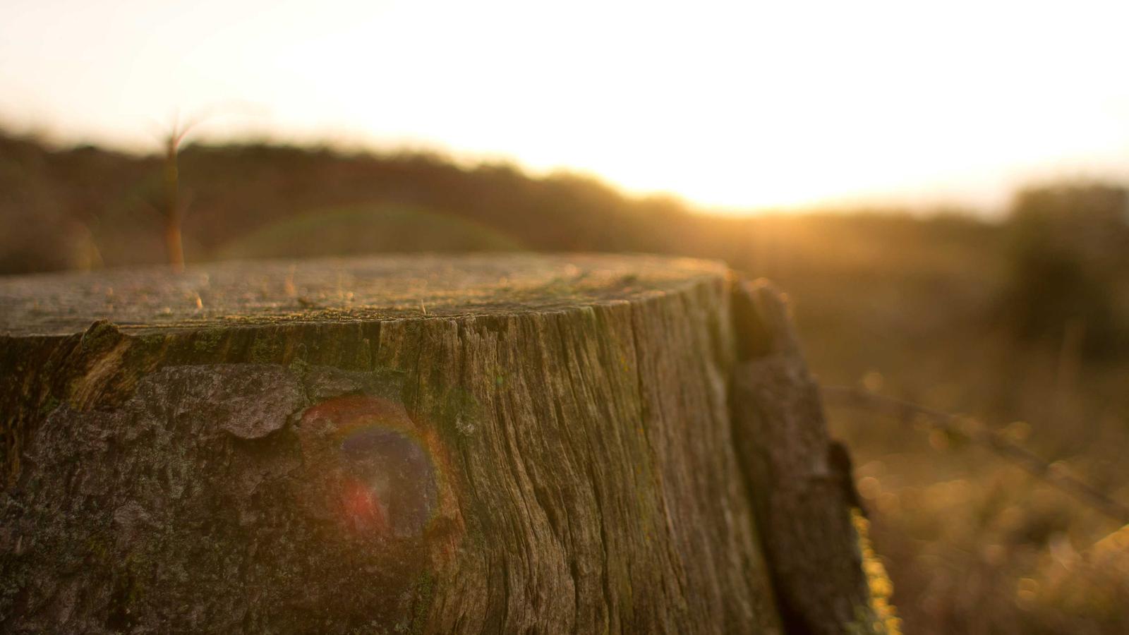 Cover Image of the Post